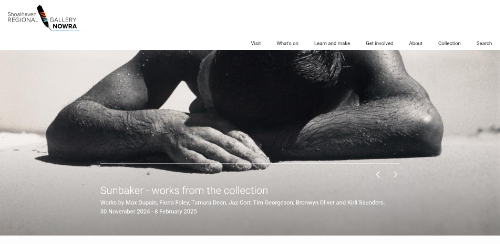 A screenshot of the home page of the Shoalhaven Regional Gallery website.